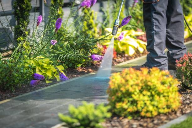 Willow, AK Pressure Washing Services Company