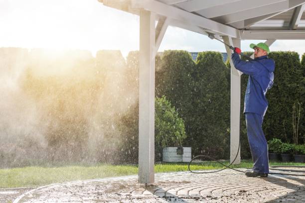 Best Animal Enclosure Cleaning  in Willow, AK