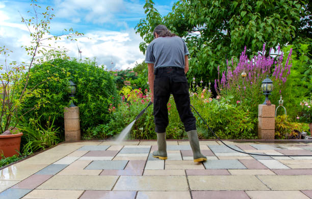 Best Boat and Dock Cleaning  in Willow, AK