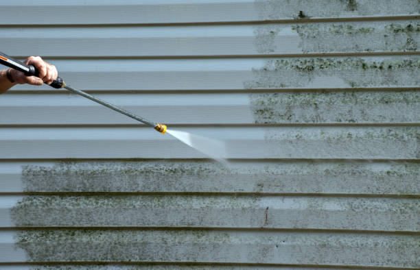 Best Patio and Deck Pressure Washing  in Willow, AK