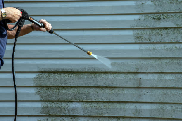 Best Roof Washing  in Willow, AK